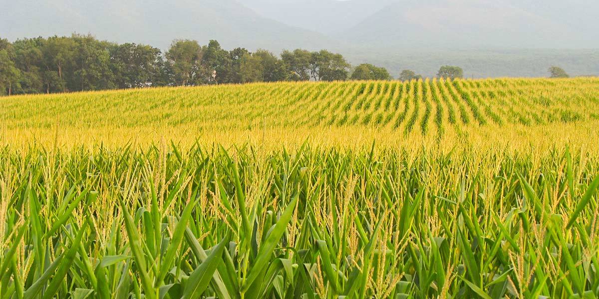 agriculture Premier Tech