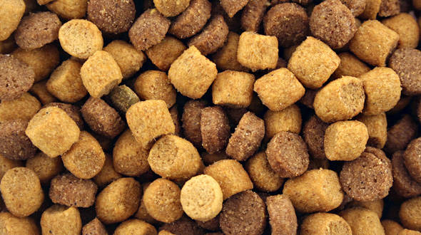 Pet food industry