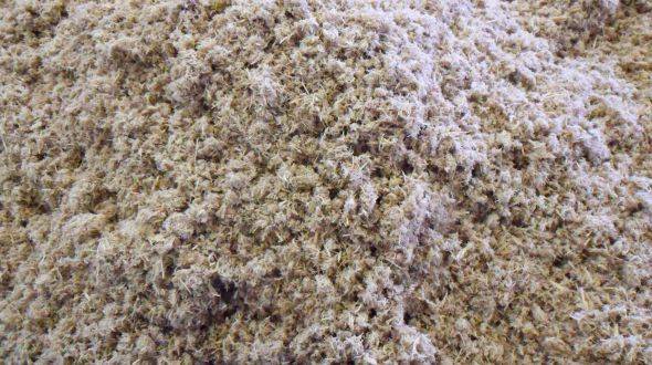 Close-up view of fine wood fiber