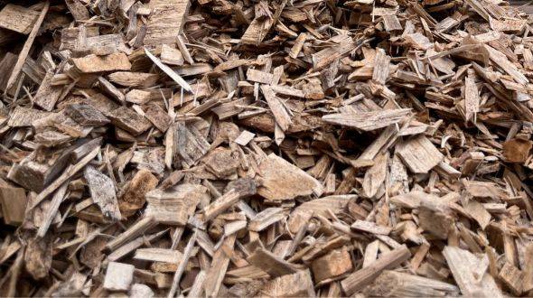 Close-up view of white soft wood chips