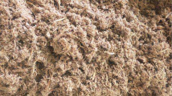 Close-up view of coarse wood fiber