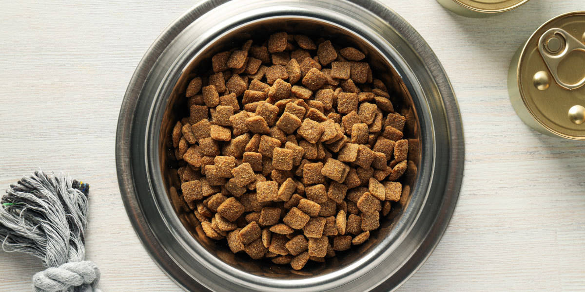 Pet food stock image